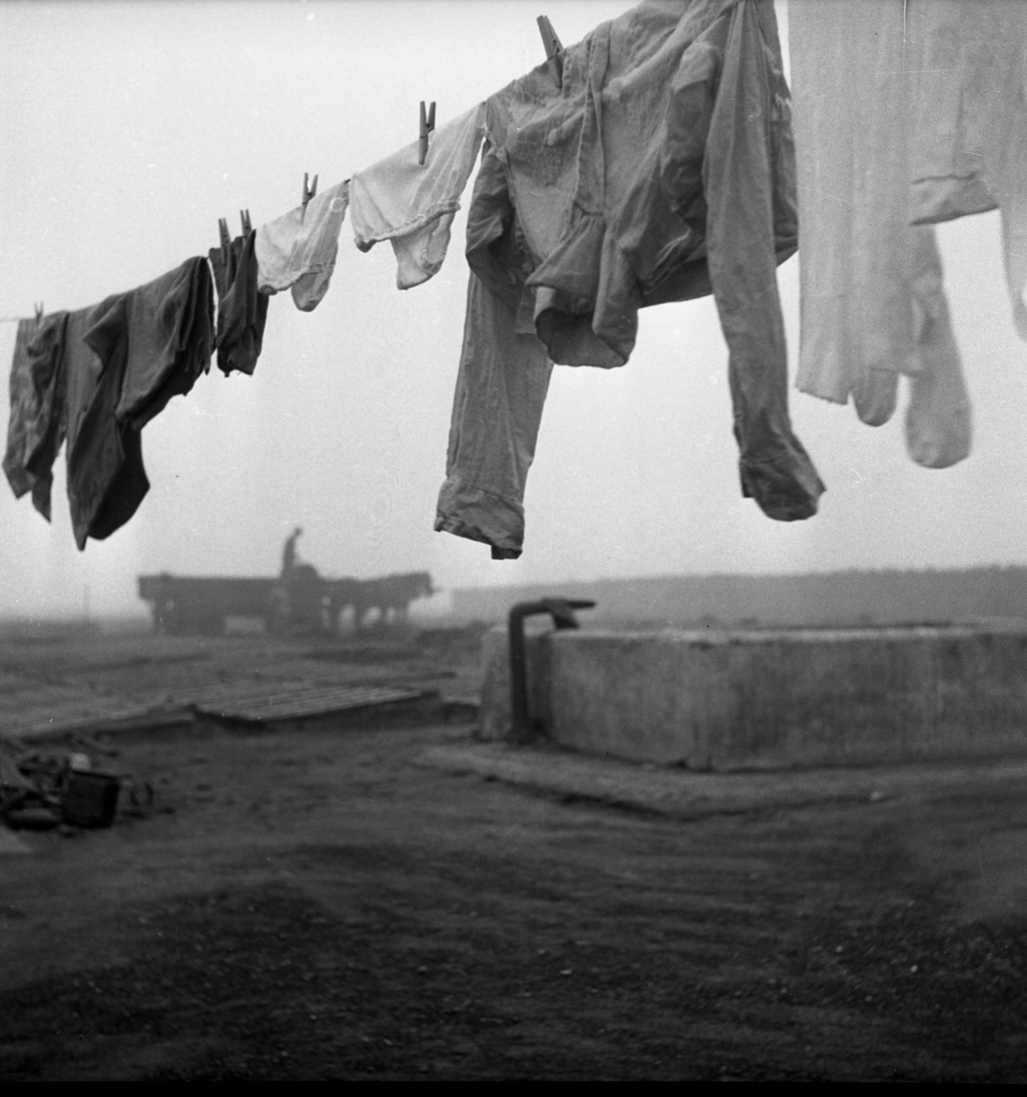 Hungary, Szigetszentmiklós, magánkertészet., 1970, Urbán Tamás, Horse-drawn carriage, hanging clothes, fog, clothes-horse, forceps, Fortepan #87270