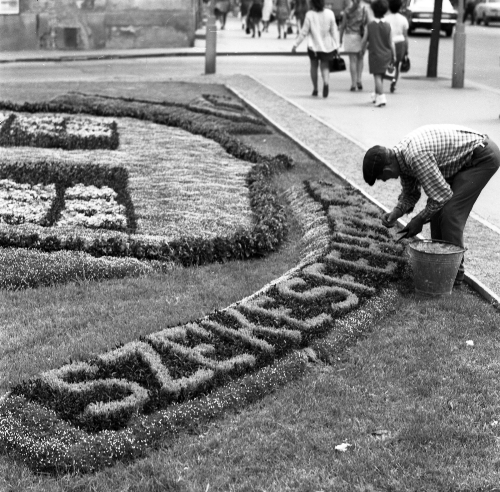 Hungary, Székesfehérvár, Országzászló (Gagarin) tér, Virágóra., 1972, Urbán Tamás, Fortepan #87677