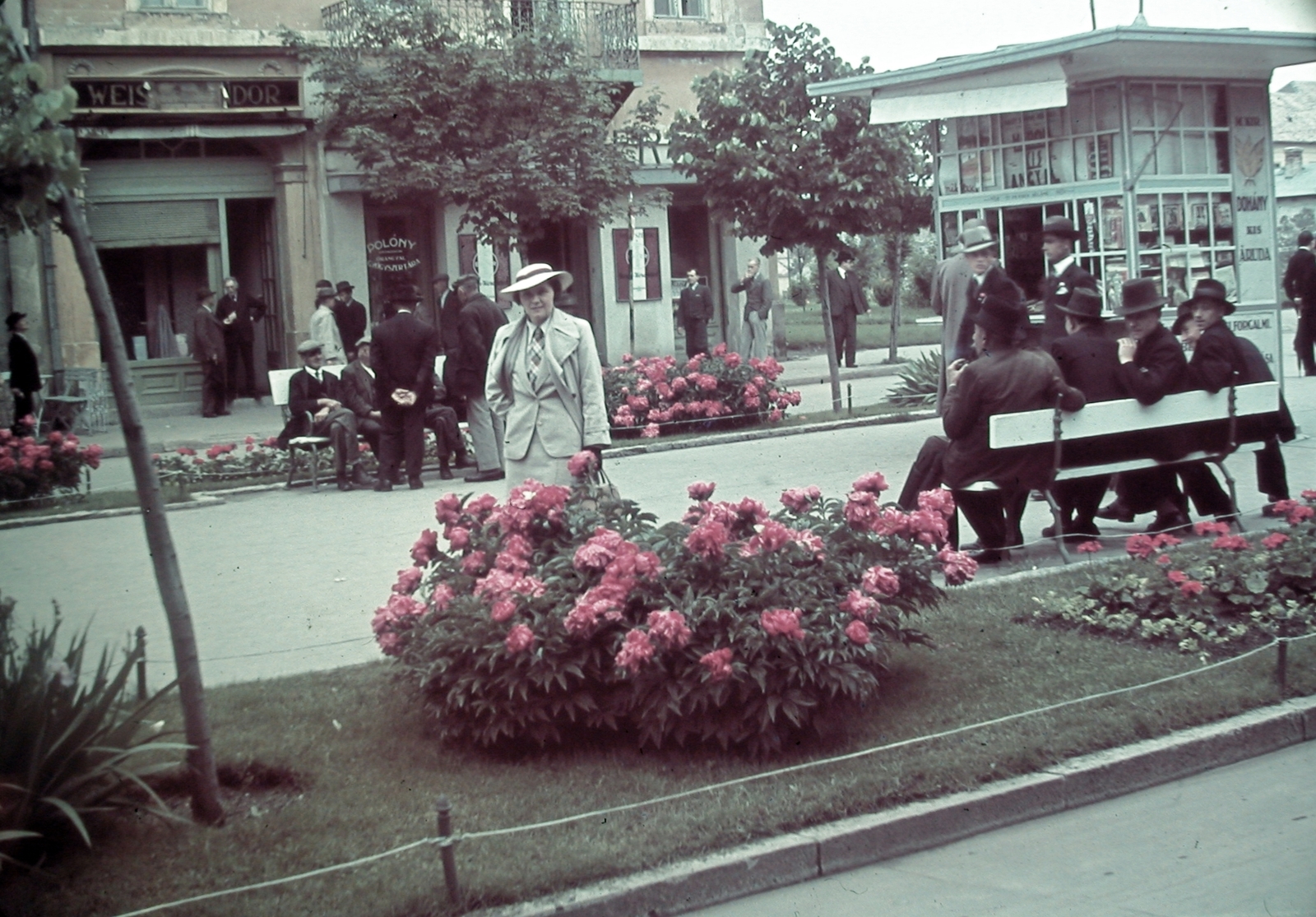 Hungary, Gyöngyös, Fő (Hanisz) tér, háttérben az Őrangyal patika., 1941, Fortepan, portrait, colorful, sign-board, flower, Fortepan #8801