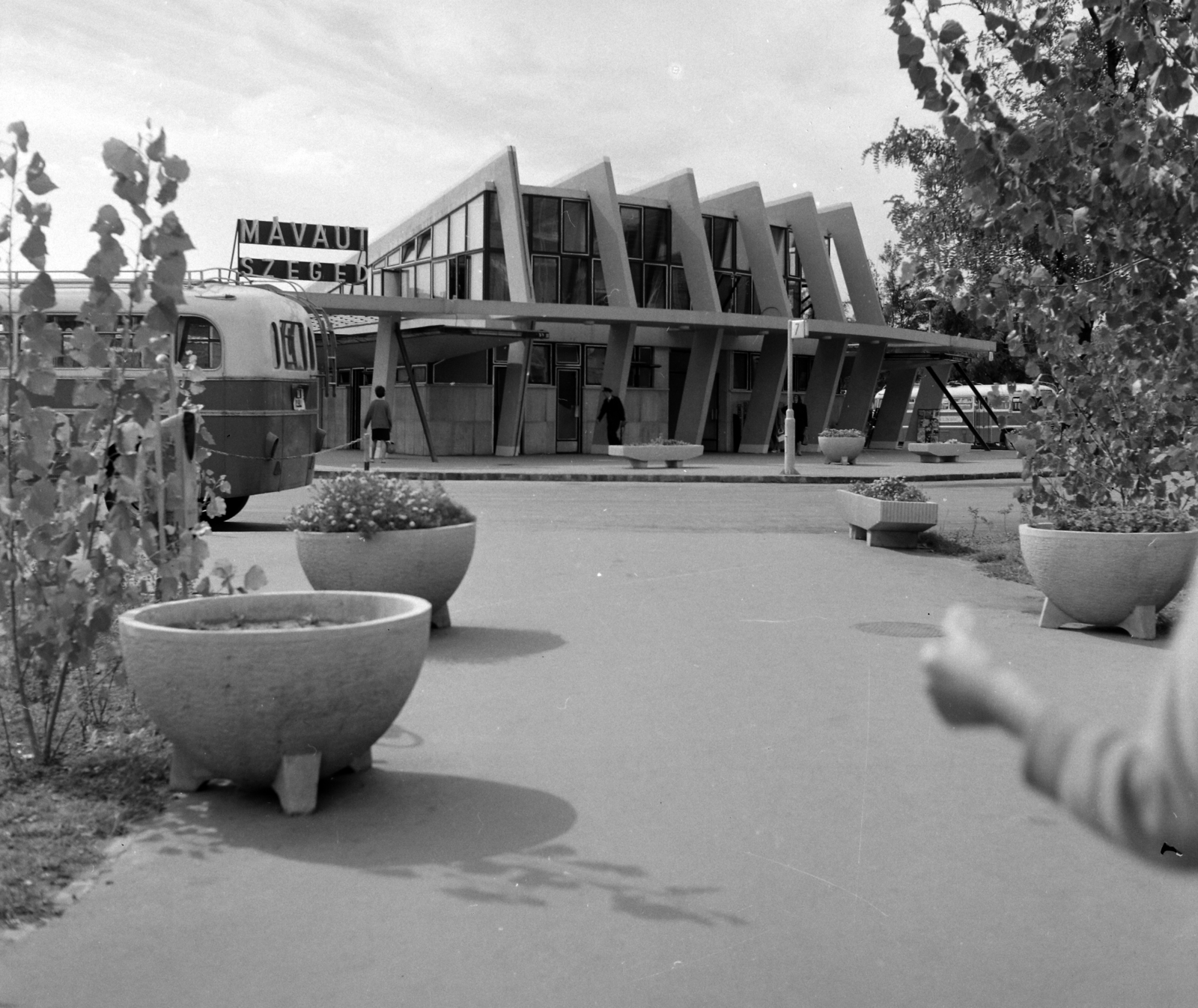 Magyarország, Szeged, Mars (Marx) tér, autóbusz-állomás., 1967, UVATERV, utcabútor, autóbusz, magyar gyártmány, MÁVAUT-szervezet, virágtartó, modern építészet, buszpályaudvar, helységnév tábla, autóbuszállomás, ÁMG 406, Fortepan #8816