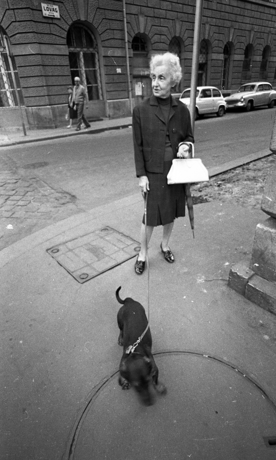 Magyarország, Budapest VI., Lovag utca - Jókai utca sarok., 1973, Urbán Tamás, Budapest, tacskó, Fortepan #88180