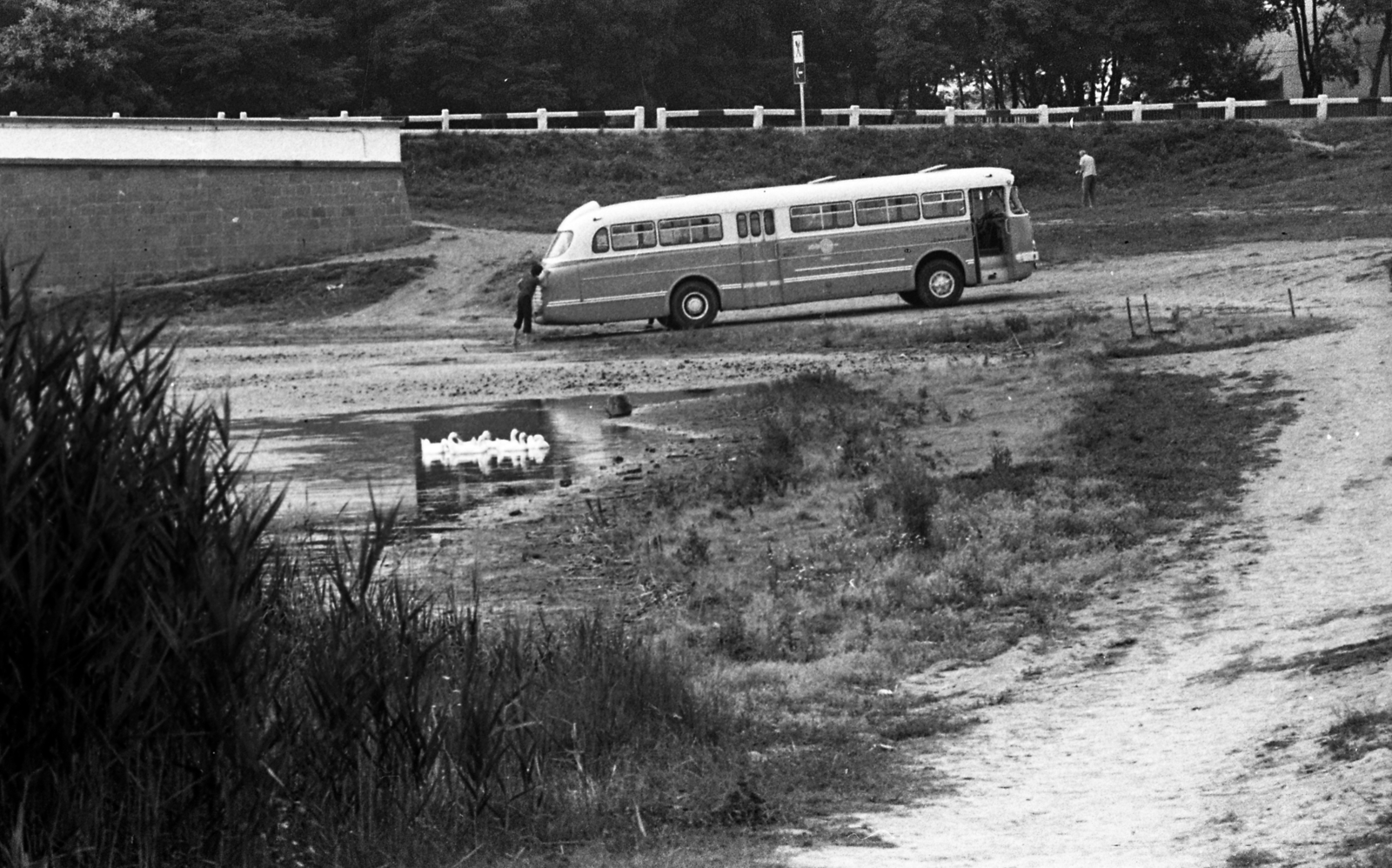 Magyarország, Hortobágy, folyópart a Kilenclyukú hídnál., 1973, Urbán Tamás, Ikarus-márka, Ikarus 66, Volán-szervezet, autóbusz, Fortepan #88203