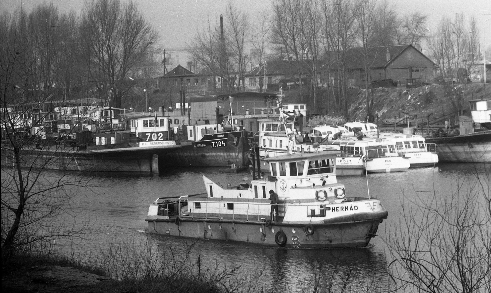 Hungary, Csepeli Szabadkikötő, Budapest XXI., II. medence., 1973, Urbán Tamás, ship, port, water bus, Ipoly ship, Budapest, Hernád ship, Rába/Tomaj-ship, Pilis ship, Fortepan #88304
