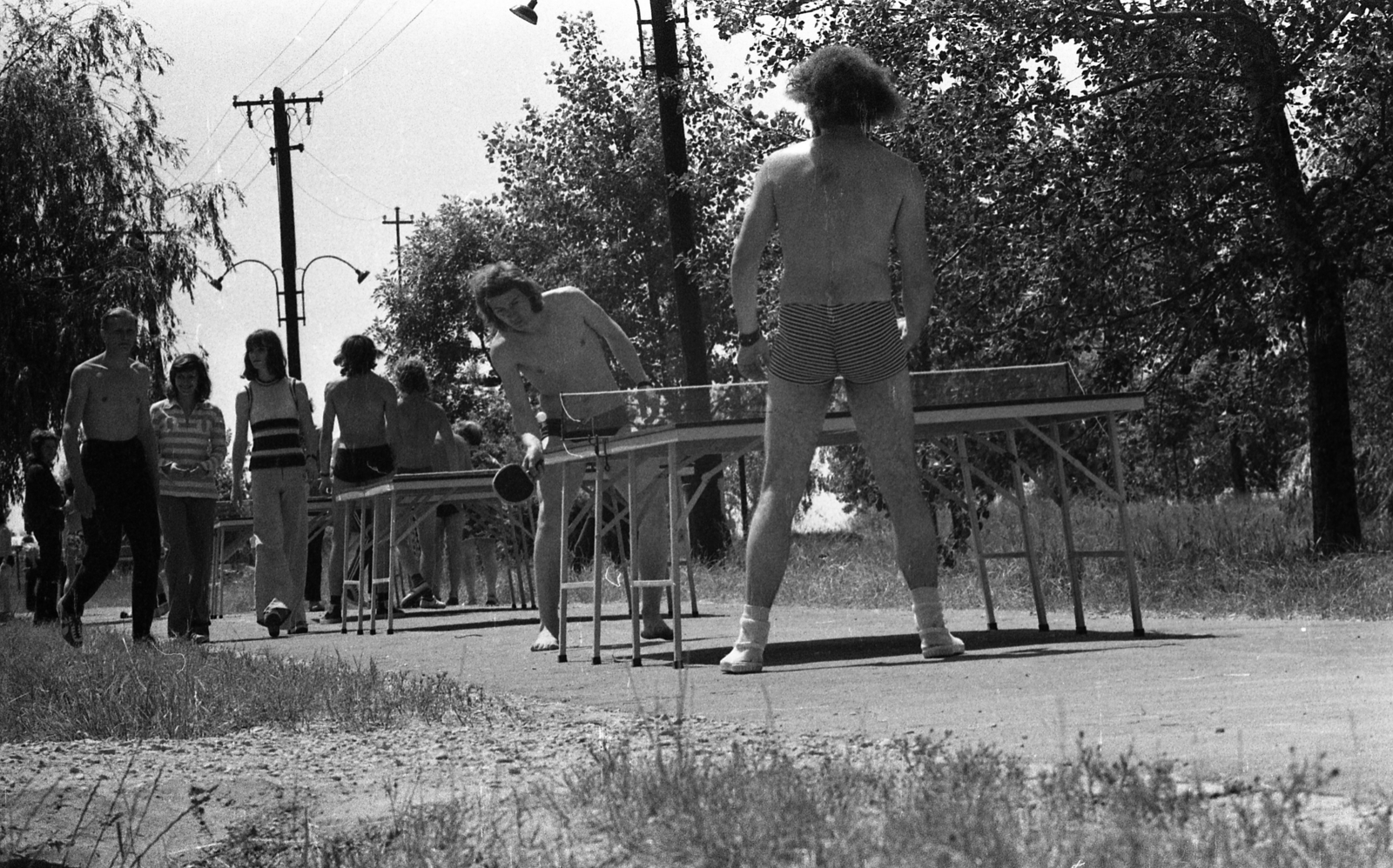 Hungary, Balatonőszöd, (ekkor Balatonszemeshez tartozott, ma a község része). A felvétel a Hullám kemping közelében készült., 1974, Urbán Tamás, Fortepan #88432