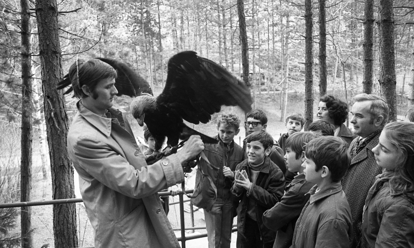 Magyarország, Veszprém, Kittenberger Kálmán Növény- és Vadaspark., 1974, Urbán Tamás, madár, állatkert, sás, Fortepan #88521