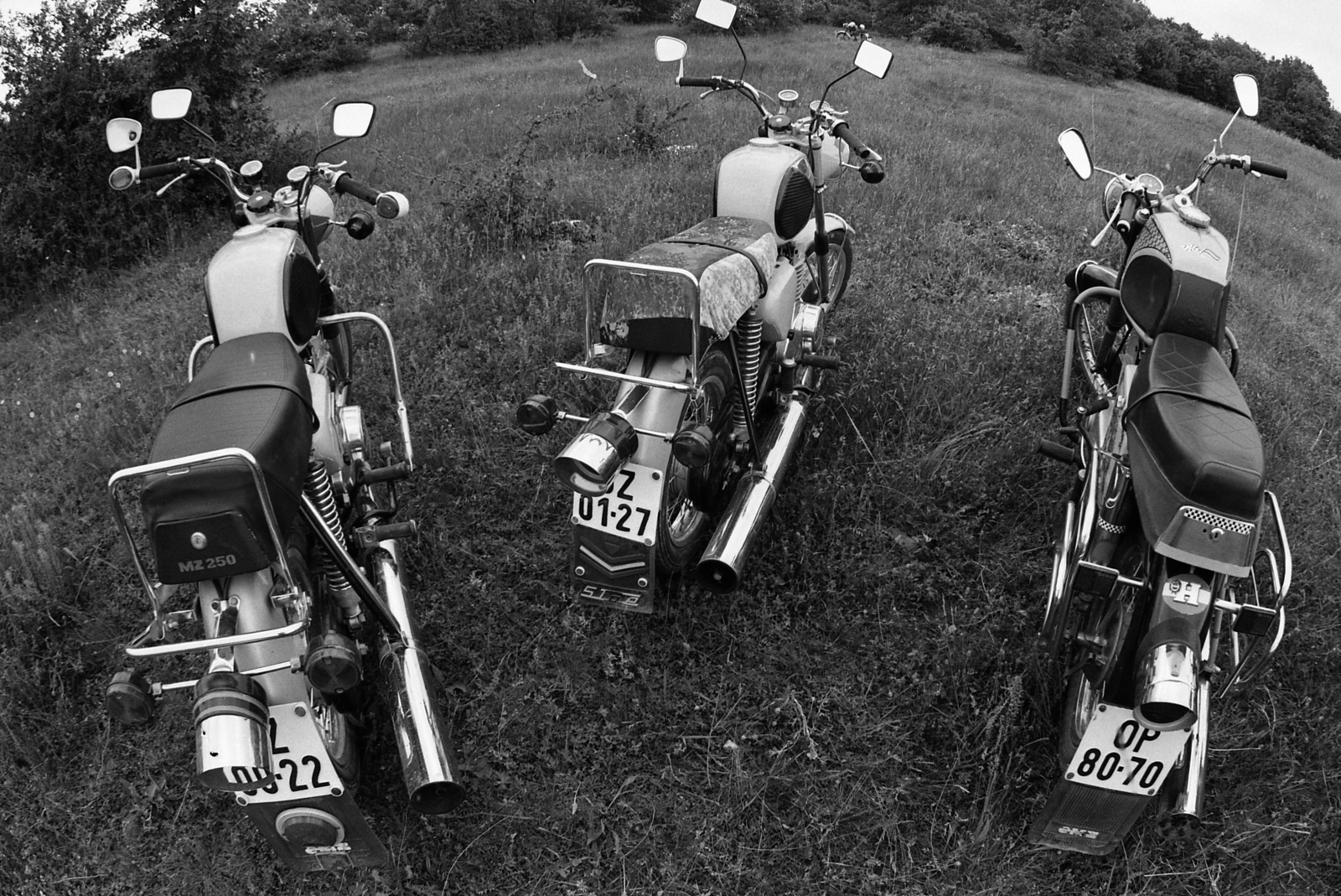 1977, Urbán Tamás, motorcycle, field, MZ-brand, number plate, country code sign, three people, Fortepan #88649