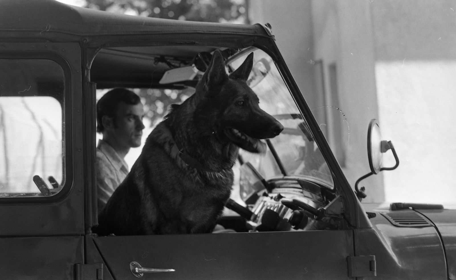 Hungary, 1976, Urbán Tamás, dog, Soviet brand, UAZ-brand, Jeep, off-roader, German shepherd, police dog, Fortepan #88742