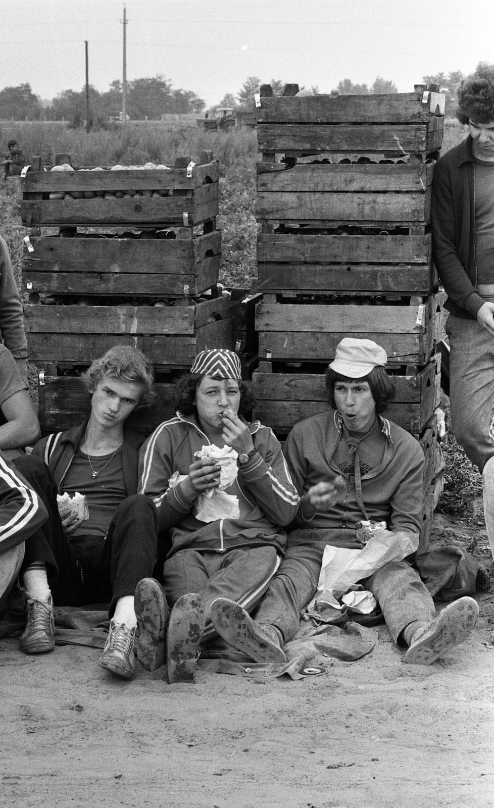 Magyarország, Tiszakécske, Újbög, KISZ építőtábor, krumpliszedés., 1976, Urbán Tamás, étkezés, ebédidő, láda, építőtábor, Fortepan #88790