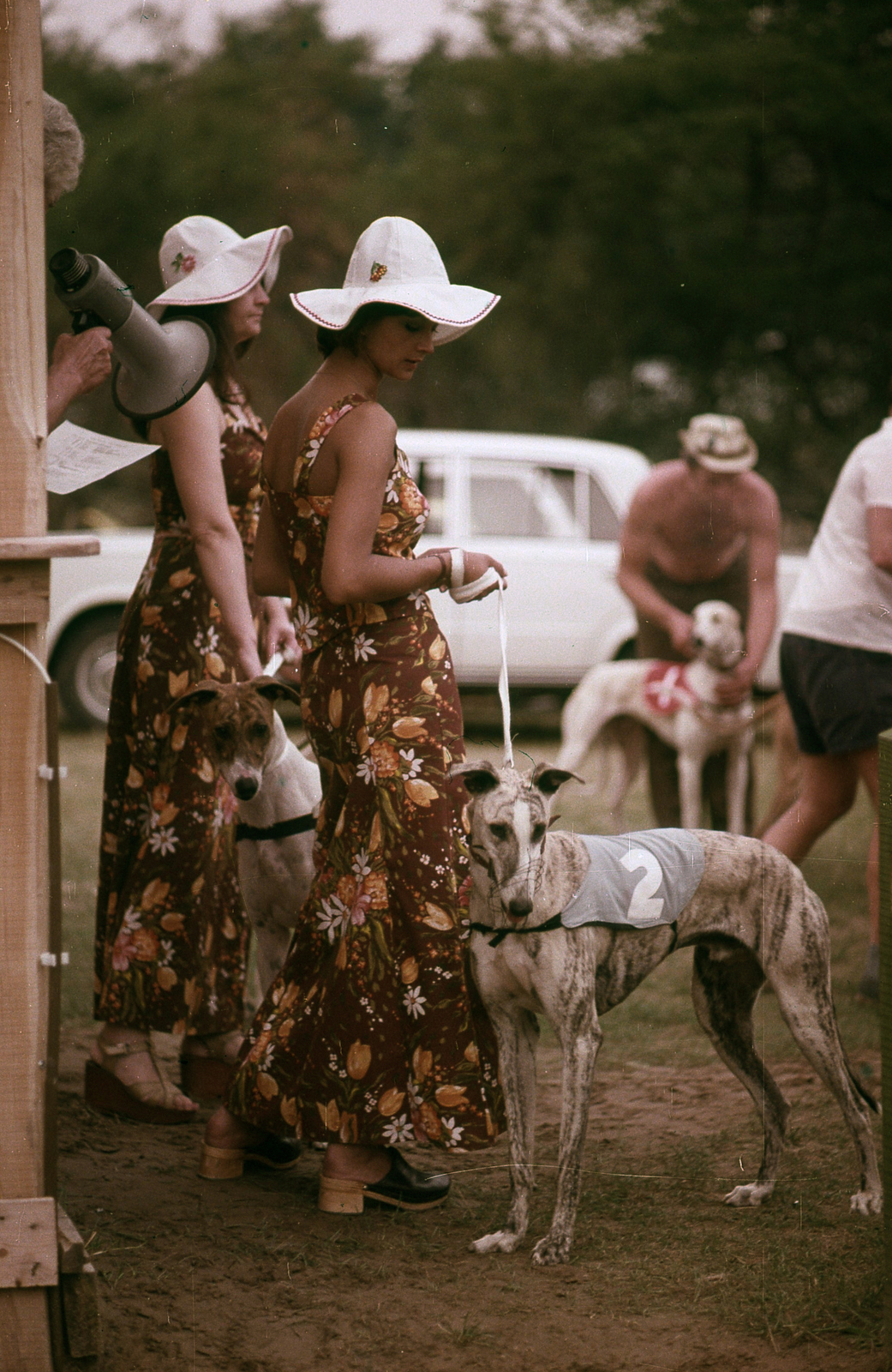 Hungary, Tahitótfalu, agárverseny résztvevői a Pokol csárda melletti pályán., 1977, Urbán Tamás, colorful, dog, competition, starting number, greyhound, greyhound racing, fashion, hat, Fortepan #89005
