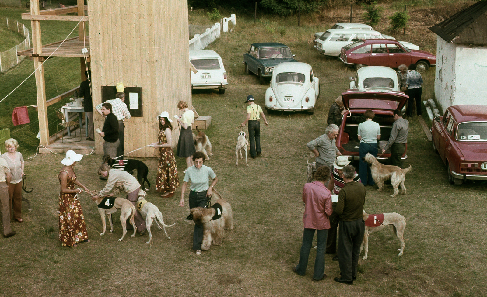 Magyarország,Szentendrei-sziget, Tahitótfalu, agárverseny résztvevői a Pokol csárda melletti pályán., 1977, Urbán Tamás, színes, kutya, verseny, Citroen-márka, rendszám, Skoda 100, VAZ 2102, Volkswagen Bogár, VAZ 2103/2106, rajtszám, agár, agárverseny, Citroen GS, Fortepan #89008