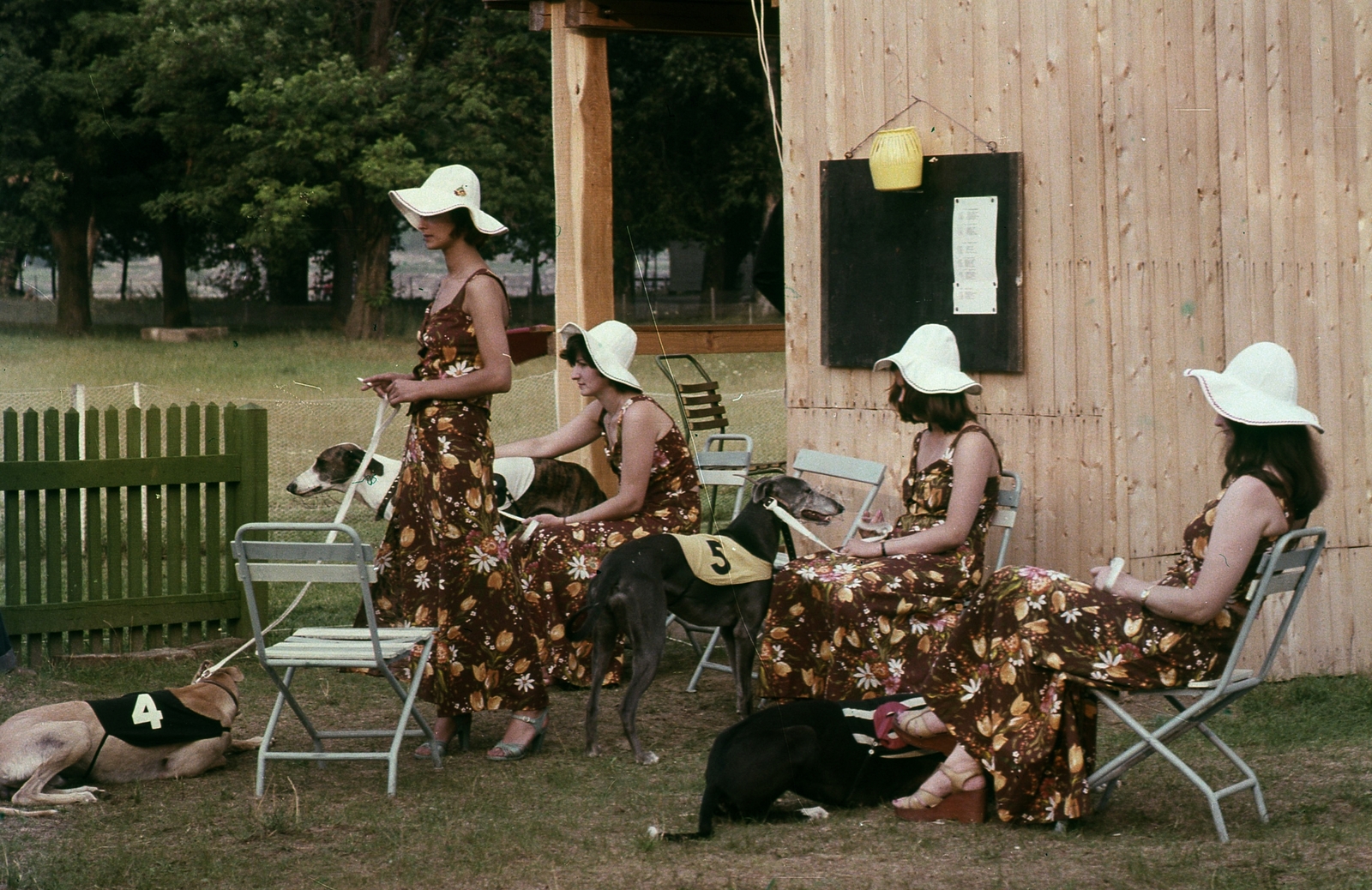 Hungary, Tahitótfalu, agárverseny résztvevői a Pokol csárda melletti pályán., 1977, Urbán Tamás, hat, colorful, dog, competition, starting number, greyhound, folding chair, fashion, Fortepan #89013