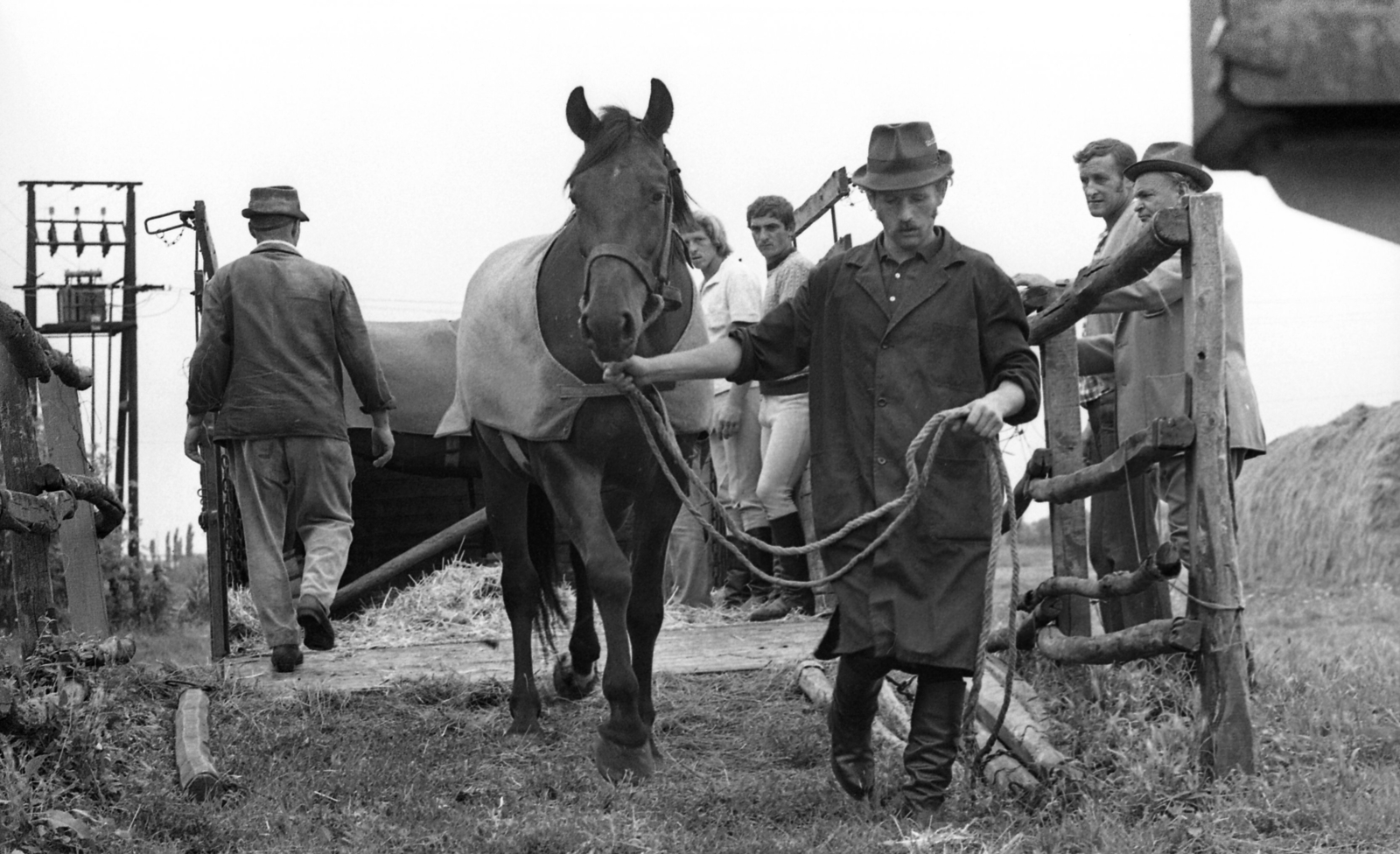 Hungary, Balmazújváros, 1977, Urbán Tamás, horse, saddle, Fortepan #89020