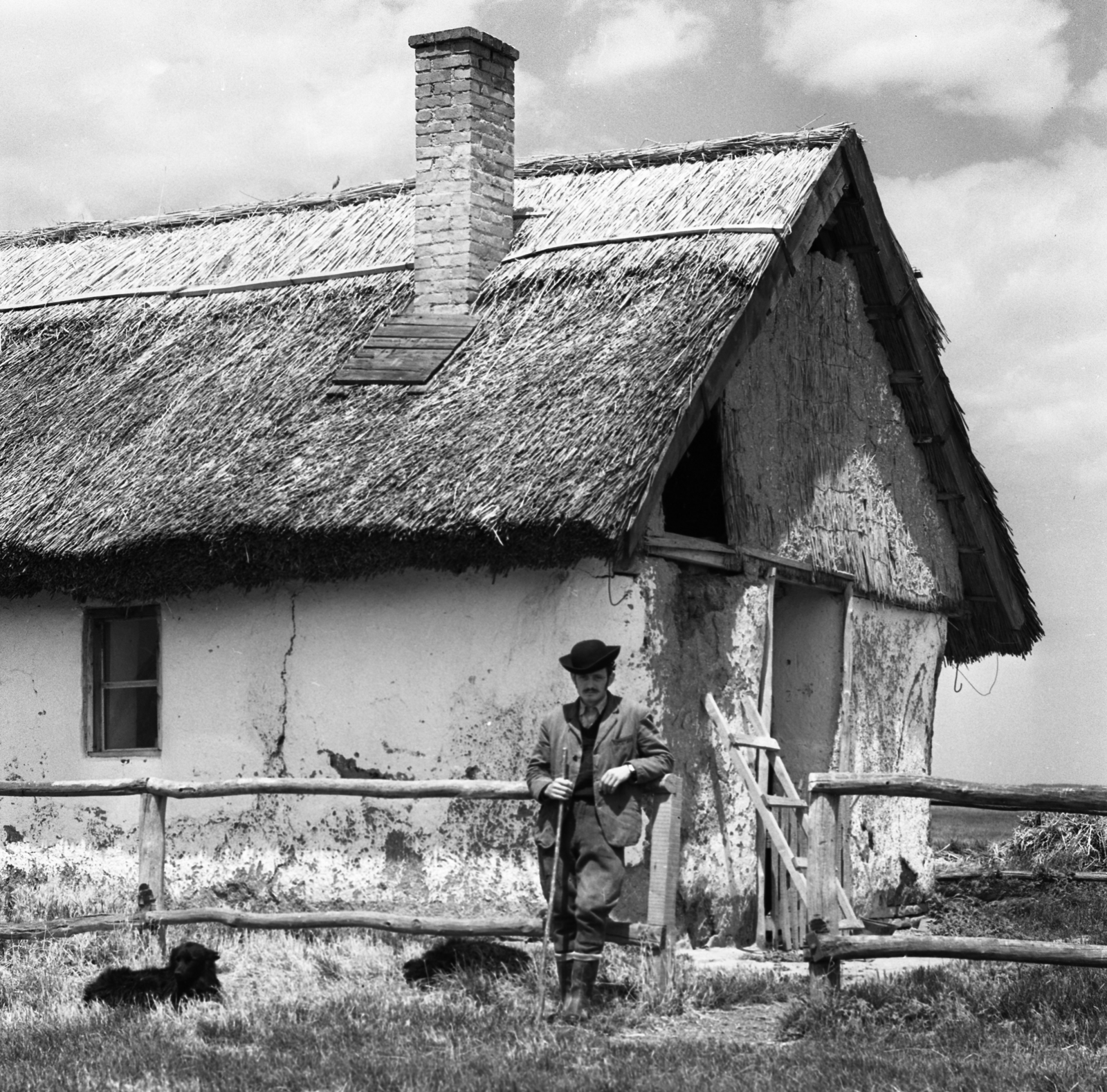 Hungary, 1977, Urbán Tamás, thatch roof, shepherd, stable, Fortepan #89027