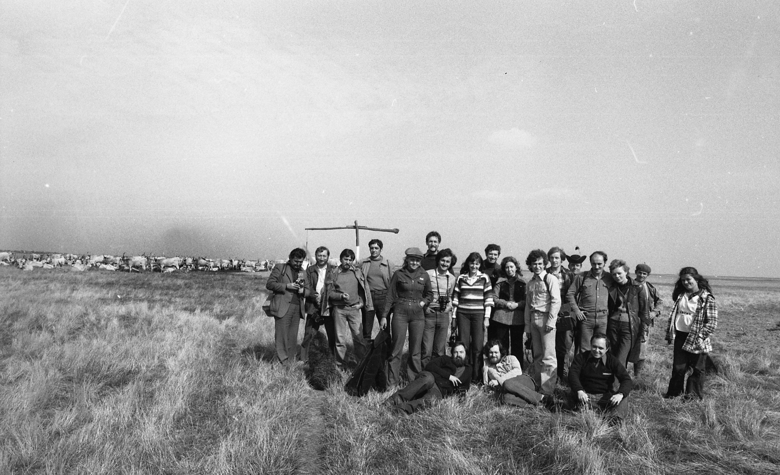 Hungary, Hortobágy, 1978, Urbán Tamás, tableau, cattle, shadoof, herd, World Heritage, national park, Fortepan #89139