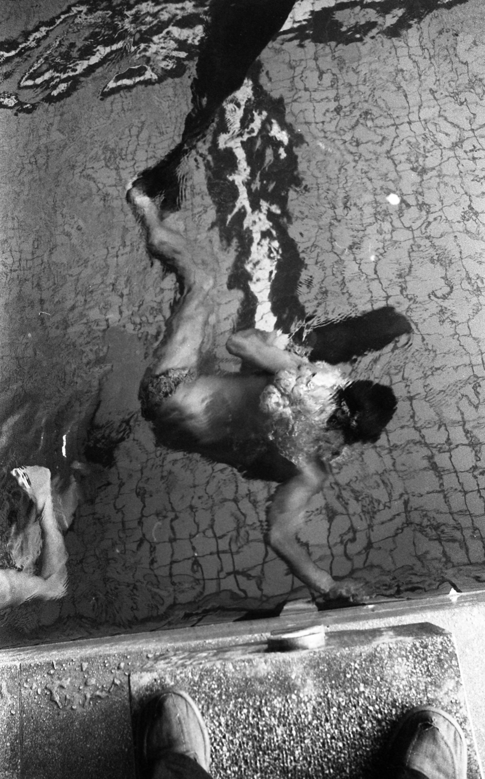 Magyarország, Kecskemét, Izsáki út, fedett uszoda. búvárúszók edzése., 1976, Urbán Tamás, sport, medence, úszás, uszoda, rajtkő, felülnézet, Fortepan #89384
