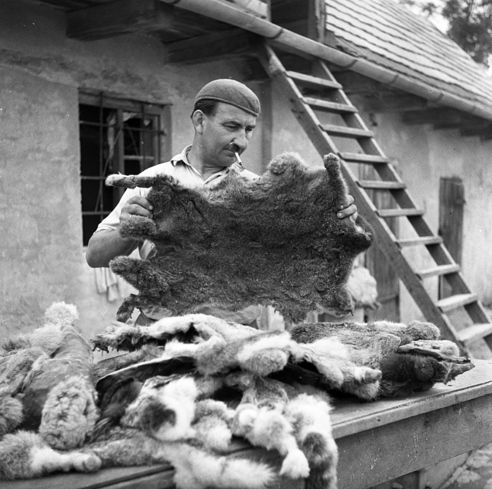 1965, Urbán Tamás, cigarette, ladder, beret, furrier, attic, fur, Fortepan #89628