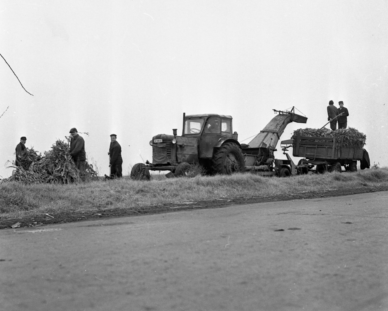Hungary, 1969, Urbán Tamás, trailer, MTZ-brand, tractor, agriculture, machine, corn, Fortepan #89650