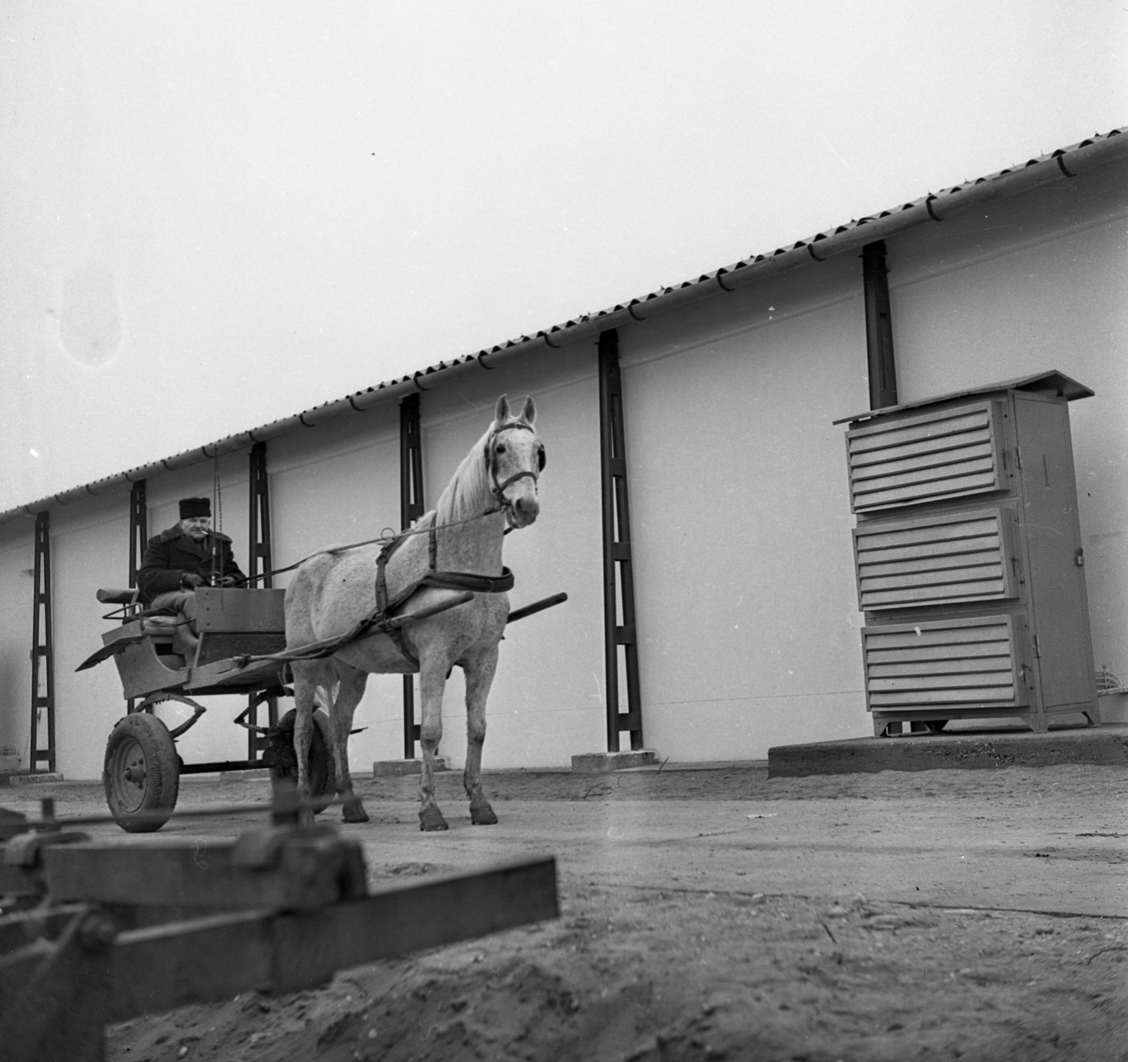 Hungary, 1969, Urbán Tamás, Horse-drawn carriage, coach, Fortepan #89651