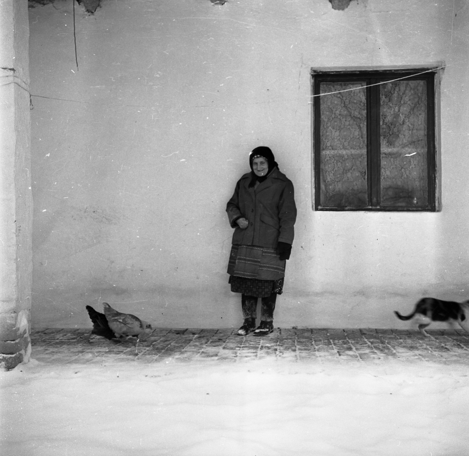 Hungary, 1966, Urbán Tamás, cat, poultry, woman, porch, headscarf, clothes-horse, old person, Fortepan #89782
