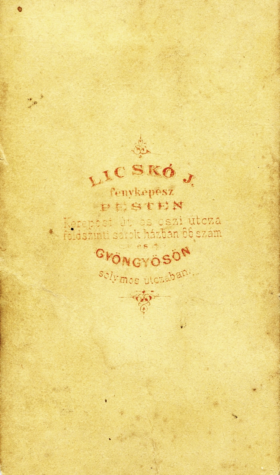Magyarország, Budapest VII.,Gyöngyös, Rákóczi (Kerepesi) út 66., Solymos utca, Licskó fényképész. A felvétel 1865-ben készült., 1900, Mészöly Leonóra, műterem, fényképész, hátlap, Budapest, Fortepan #90191