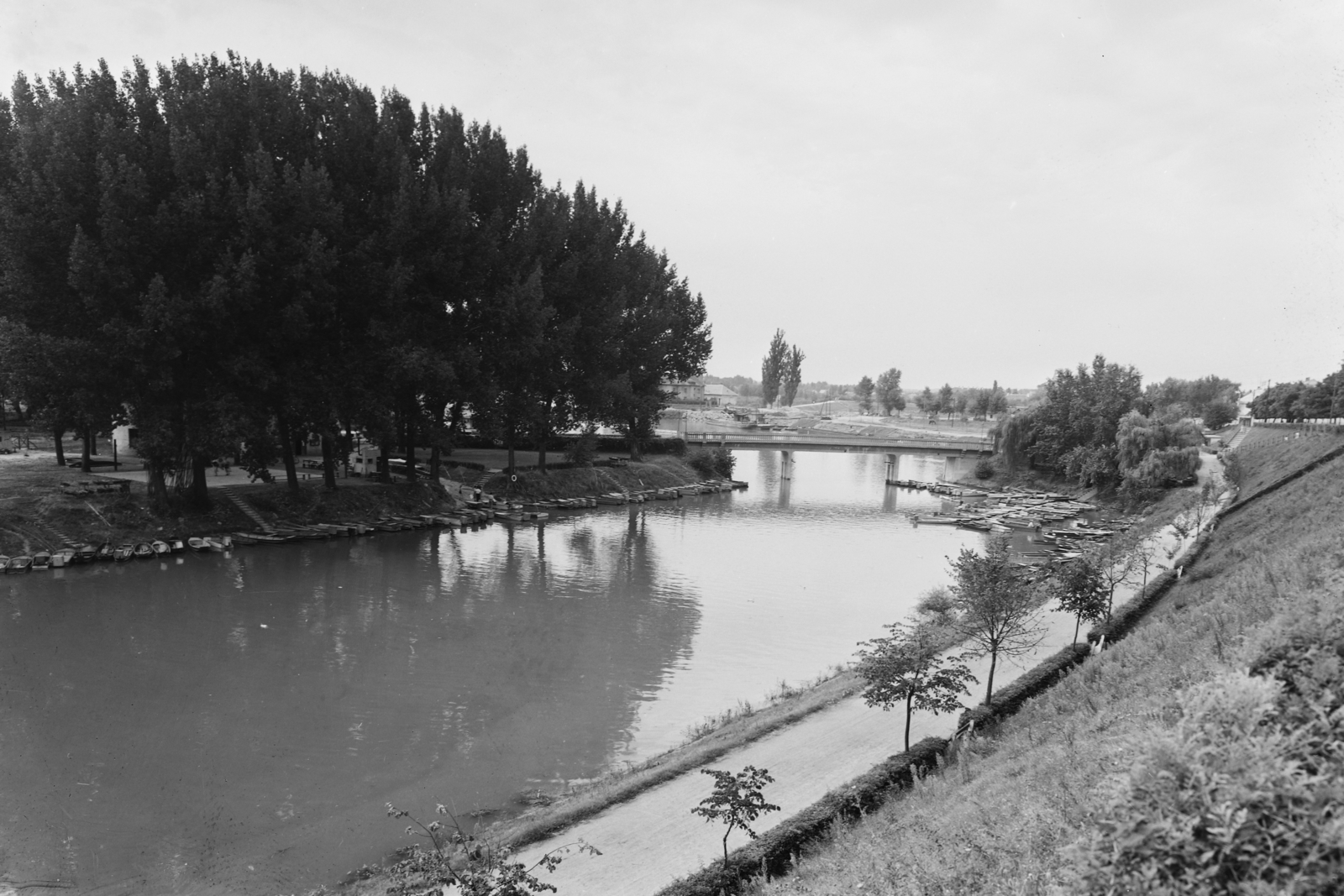 Hungary, Baja, Sugovica (Kamarás-Duna), szemben az 1982-ben felrobbantott szigeti híd, balra a Petőfi-sziget., 1955, UVATERV, egy dunai hajóút, embankment, shore, bridge, Fortepan #91021