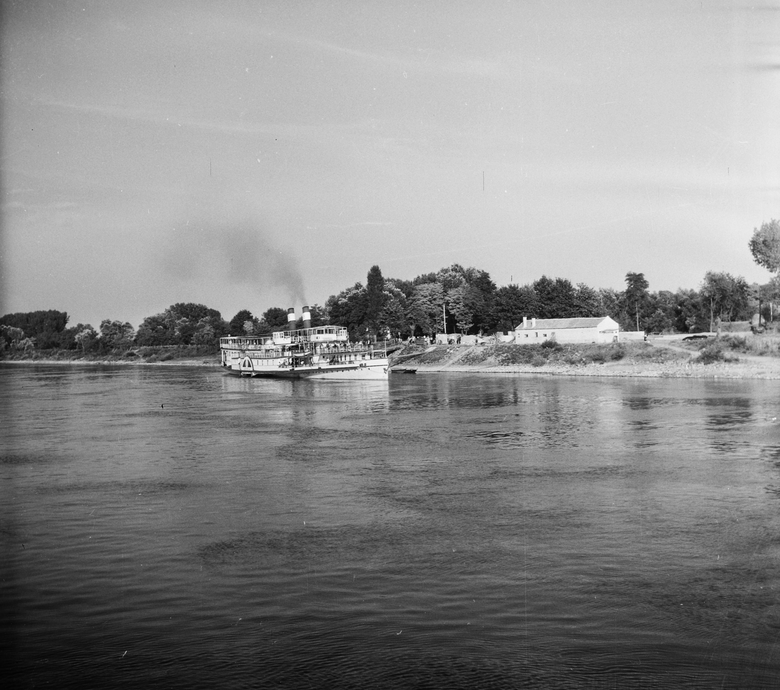 Hungary, Fajsz, a Szent István gőzhajó a hajóállomásnál., 1955, UVATERV, egy dunai hajóút, ship, steamboat, boat station, Szent István/Queen Zita ship, Fortepan #91062