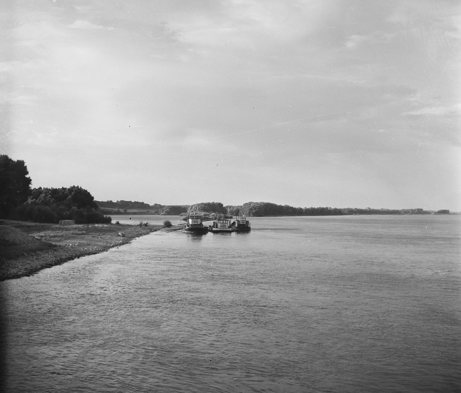Hungary, Dunaújváros, (Sztálinváros), a Szalki-sziget partja a dunai kikötőnél., 1955, UVATERV, egy dunai hajóút, Danube, shore, Fortepan #91085