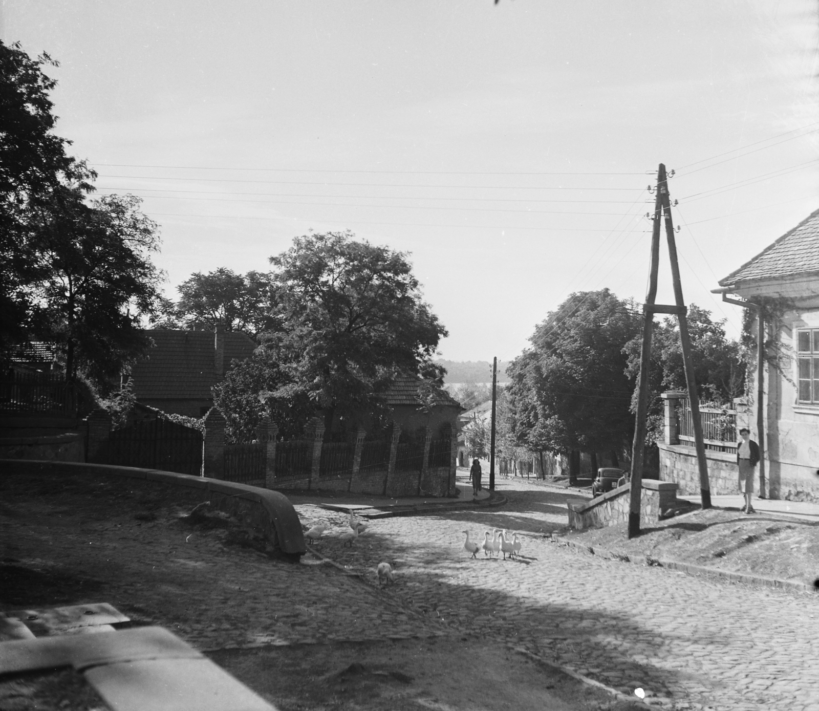 Magyarország, Ercsi, Templom tér, szemben a Fő utca., 1955, UVATERV, egy dunai hajóút, utcakép, villanyoszlop, baromfi, kerítés, Fortepan #91098