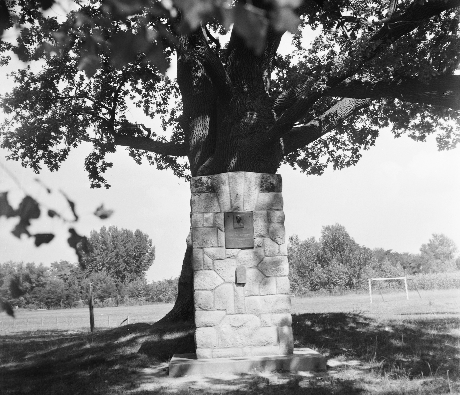 Hungary, Dömsöd, Petőfi-fa., 1955, UVATERV, egy dunai hajóút, memorial, wood, Fortepan #91123