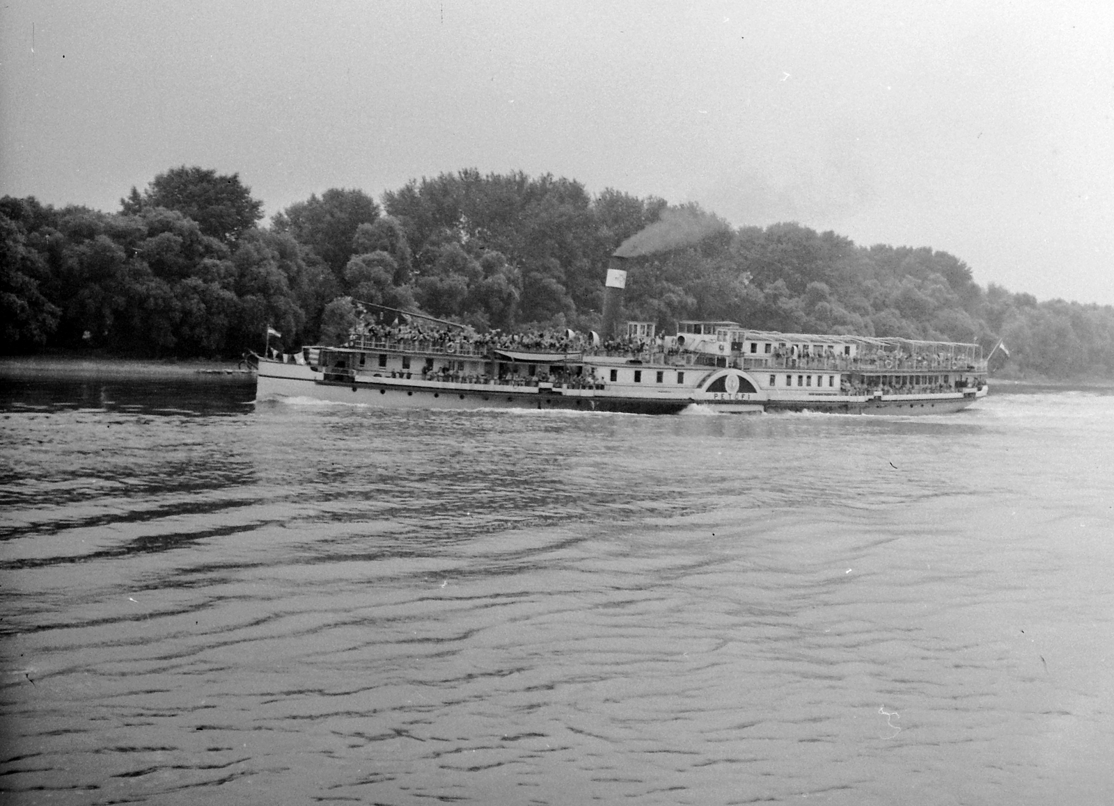 Hungary, Petőfi személyhajó a Szentendrei-Dunán., 1955, UVATERV, egy dunai hajóút, transport, ship, steamboat, Szent László/Petőfi ship, Fortepan #91178