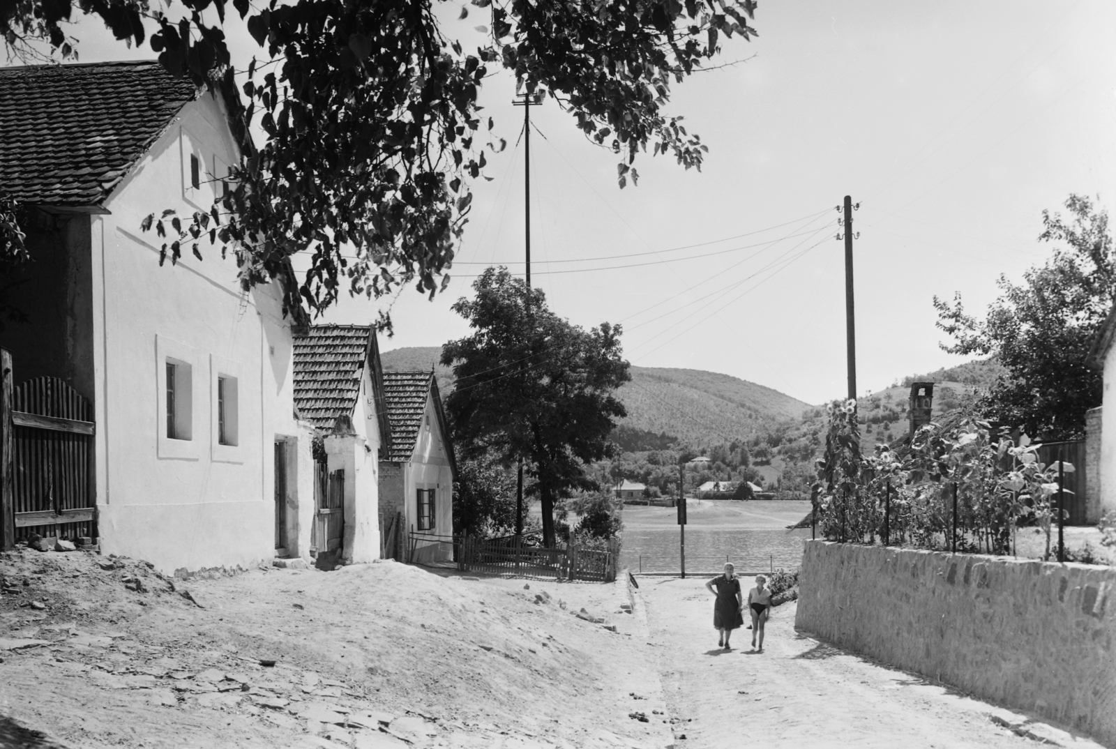 Hungary, Kisoroszi, lejáró a révhez., 1955, UVATERV, egy dunai hajóút, village, Fortepan #91186