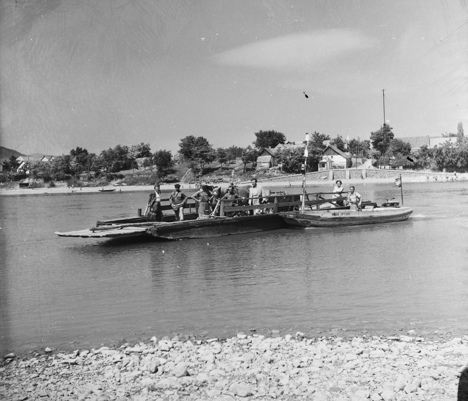 Hungary, Révátkelés a Dunán, Kisoroszi és Visegrád-Szentgyörgypuszta között., 1955, UVATERV, egy dunai hajóút, ferry, Fortepan #91190