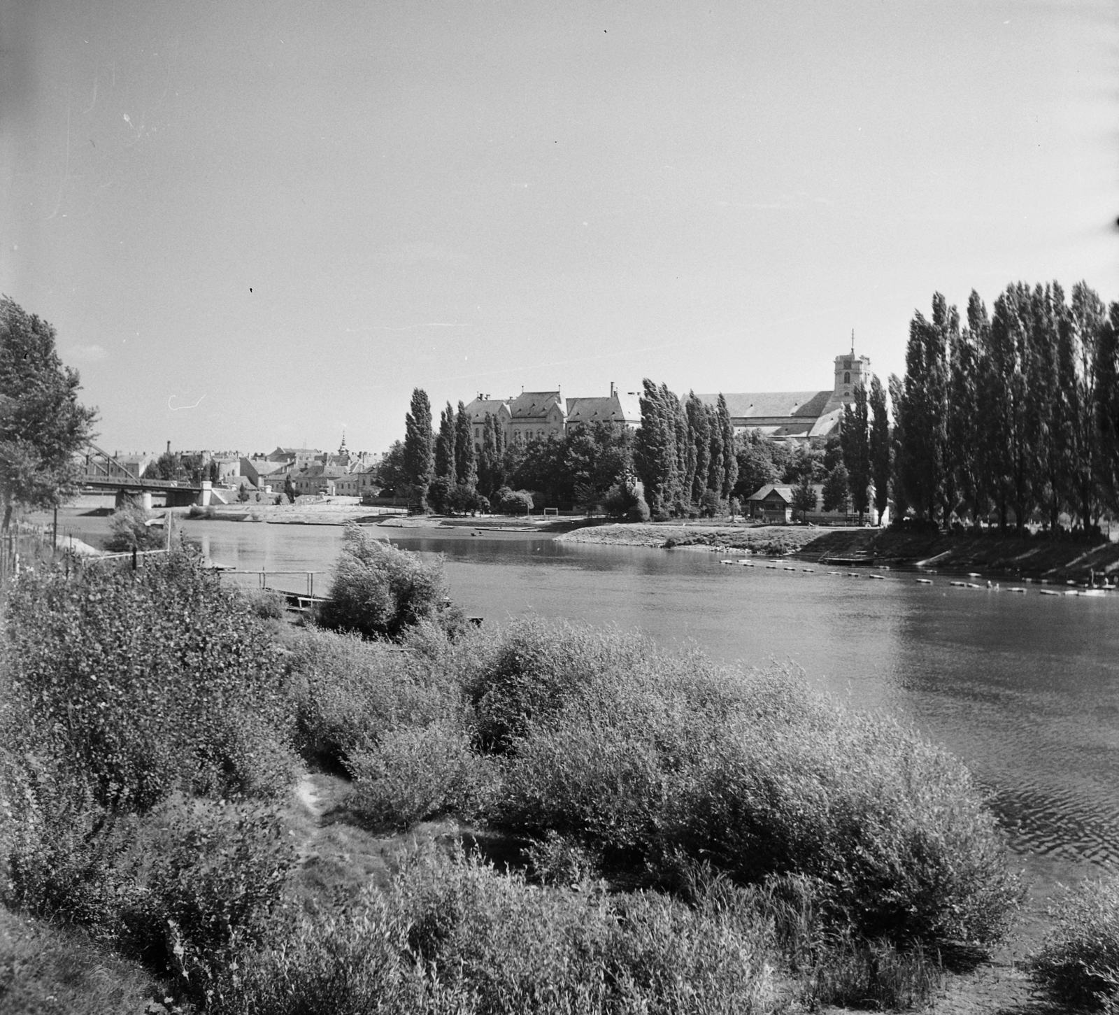 Magyarország, Győr, a Mosoni Duna Révfalu felől nézve, balra a Kossuth híd, szemben a Székesegyház., 1955, UVATERV, egy dunai hajóút, híd, Beke József-terv, Fortepan #91264