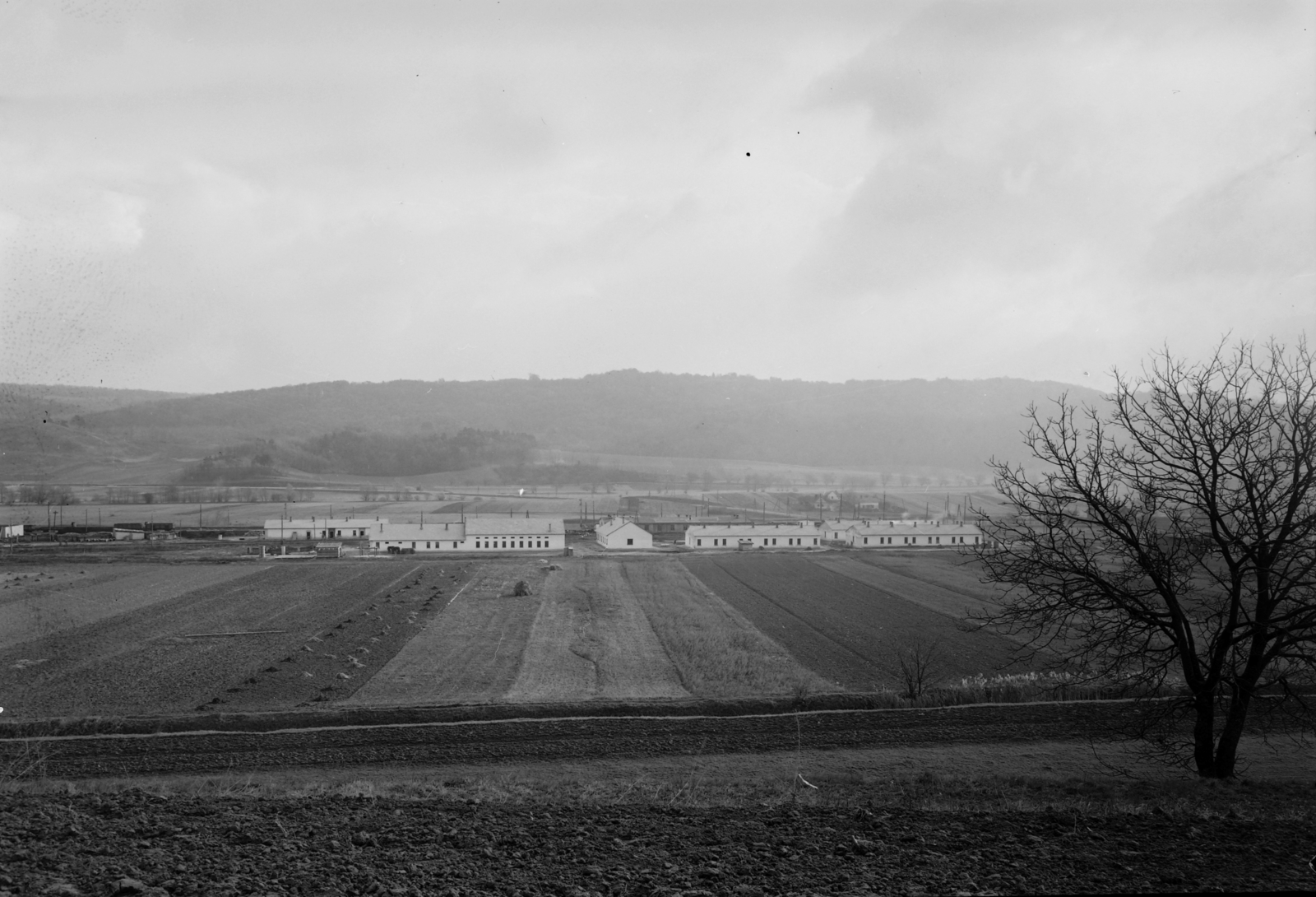 1955, UVATERV, látkép, Fortepan #91529