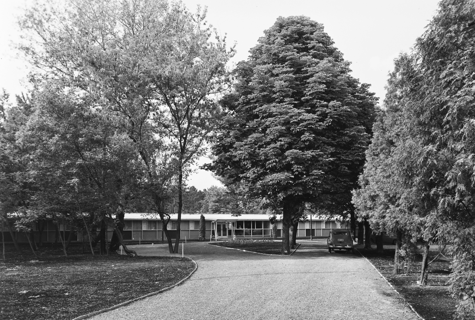 Magyarország,Balaton, Keszthely, Csík Ferenc sétány, Motel., 1960, UVATERV, park, automobil, GAZ M20 Pobeda, rendszám, Fortepan #91705