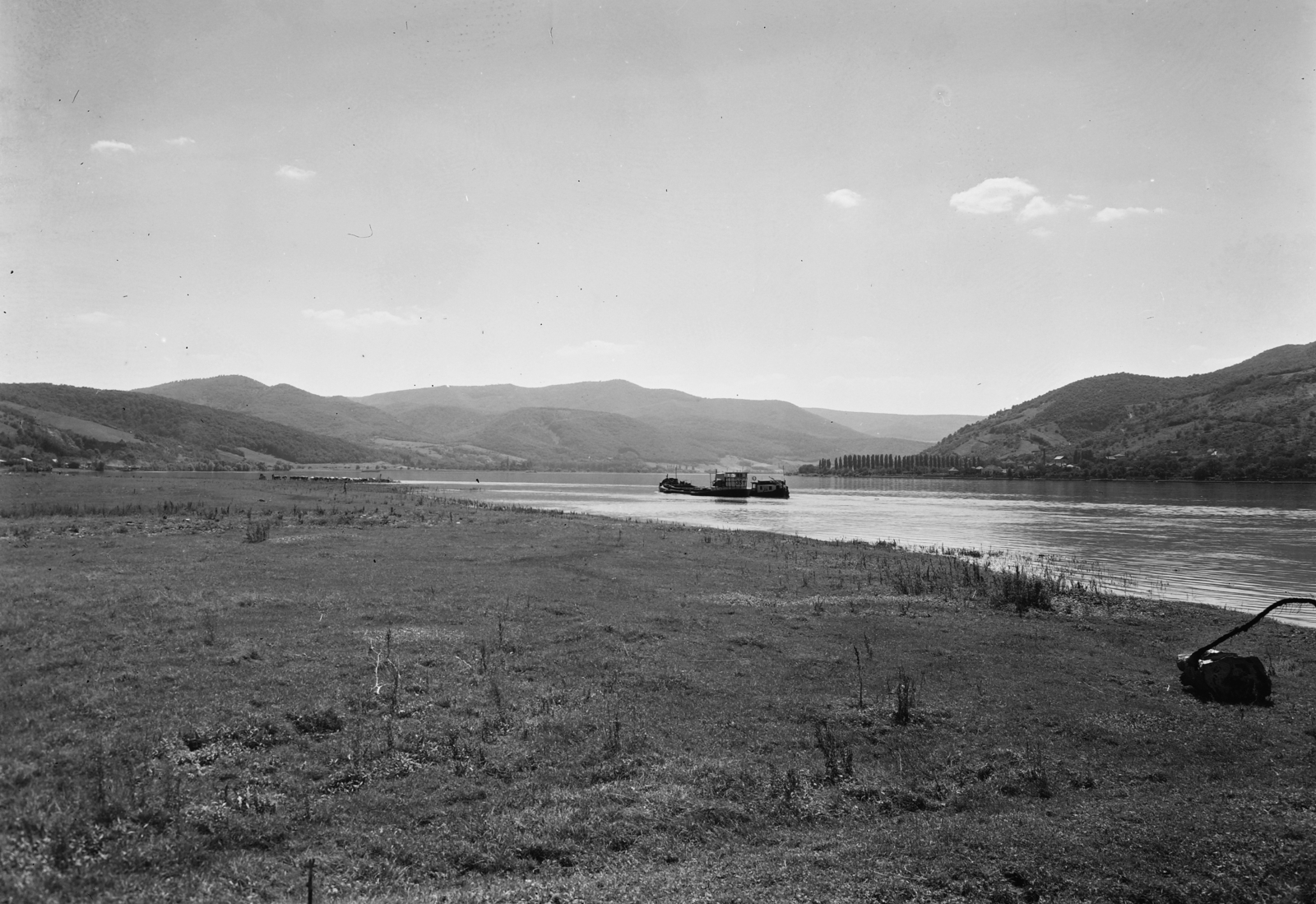 Magyarország,Dunakanyar, Visegrád, Duna-part a város fölött, a túlparton Nagymaros., 1960, UVATERV, uszály, szarvasmarha, csorda, Fortepan #91716