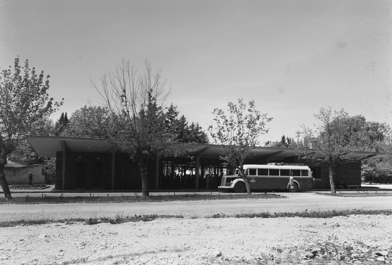 Hungary, Hévíz, Deák Ferenc tér, autóbusz-pályaudvar., 1957, UVATERV, transport, vehicle, bus, Mercedes-brand, MÁVAUT-organisation, trash can, Fortepan #91886