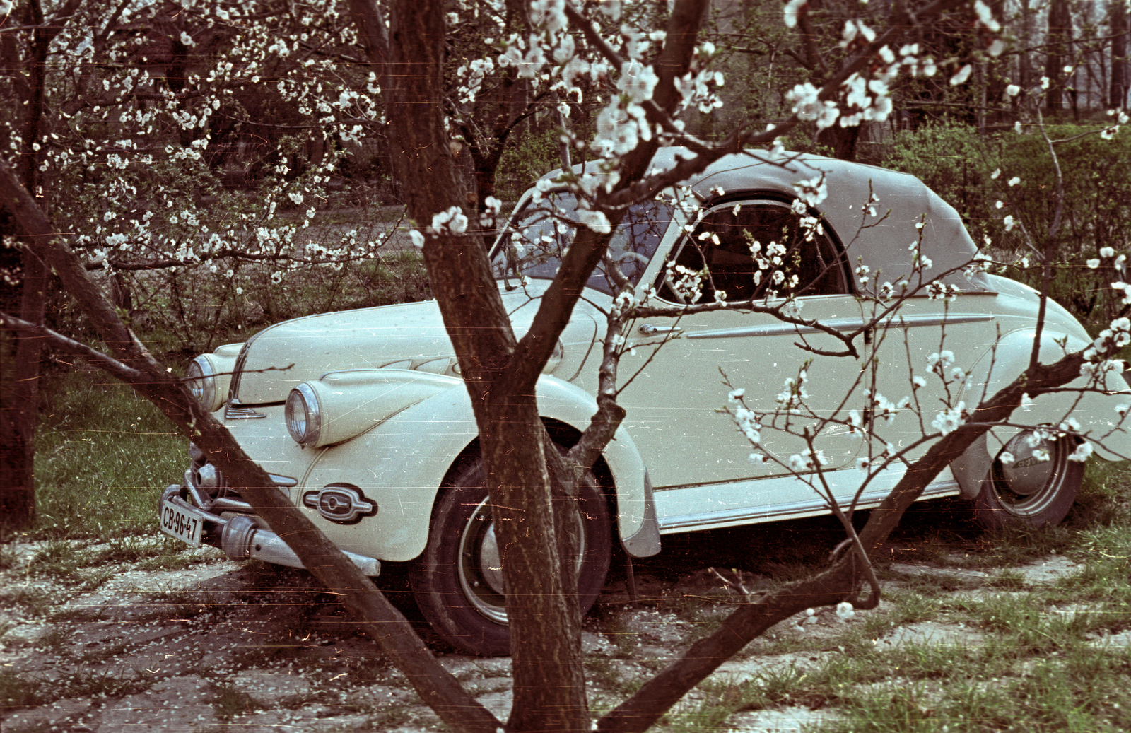 Hungary, Balatonszéplak,Siófok, Október 23. utca (November 7. út) 18., 1960, Fortepan/Album001, colorful, spring, blossoming, automobile, number plate, Fortepan #92113
