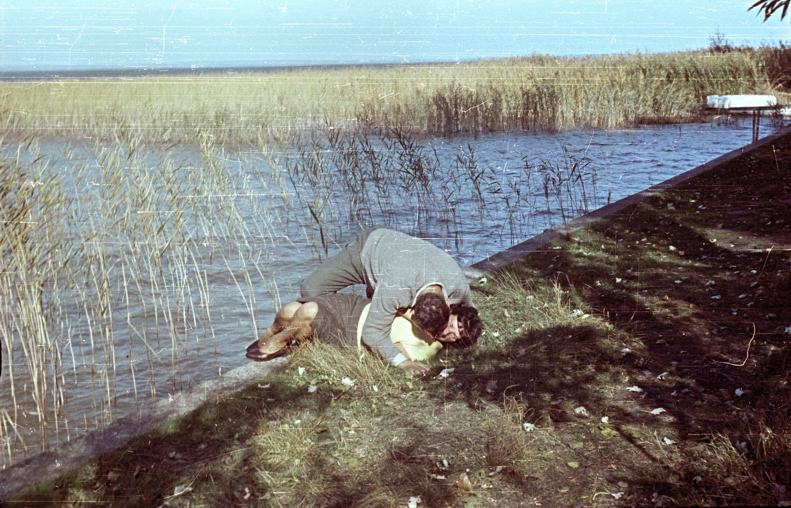 Hungary, Balatonszéplak,Siófok, Balaton-part., 1960, Fortepan/Album001, colorful, love, shore, reed, Fortepan #92140