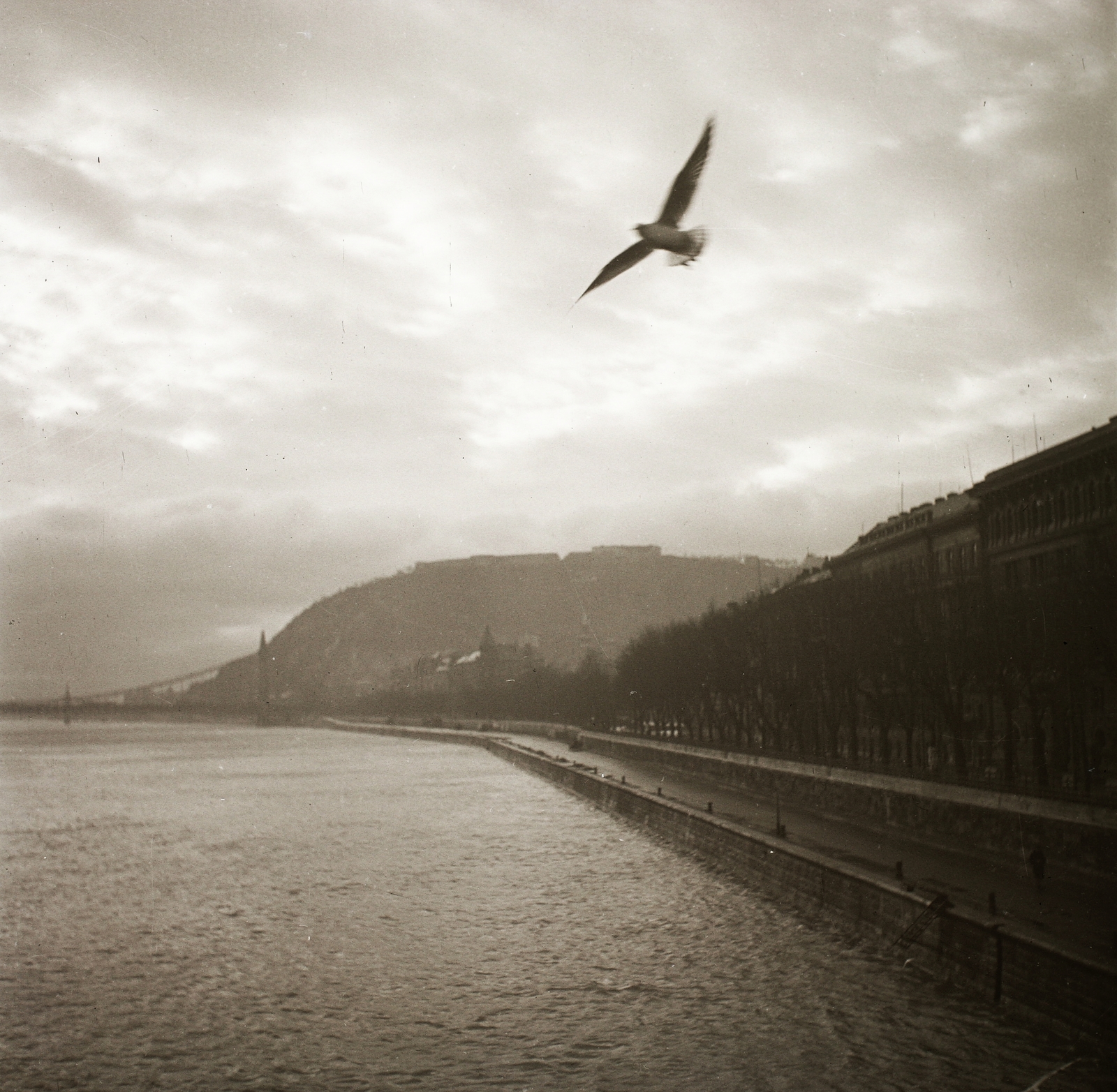 Magyarország, Budapest I., budai Duna-part a Széchenyi Lánchídról nézve, háttérben az Erzsébet híd és a Gellért-hegy., 1939, Ebner, eklektikus építészet, Budapest, Duna-híd, Kherndl Antal-terv, Czekelius Aurél-terv, Fortepan #92257