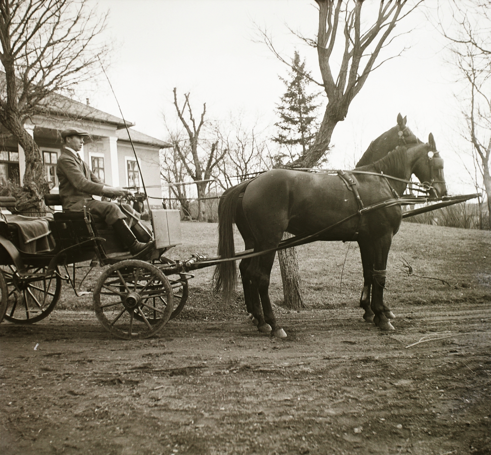 Hungary, Szarvasgede, Kossuth út 119., eredetileg dr. Virava József kúriája, később Tanácsháza, ma Önkormányzat (Községháza)., 1940, Ebner, horse, carriage, coach, teamster, mansion, Fortepan #92327