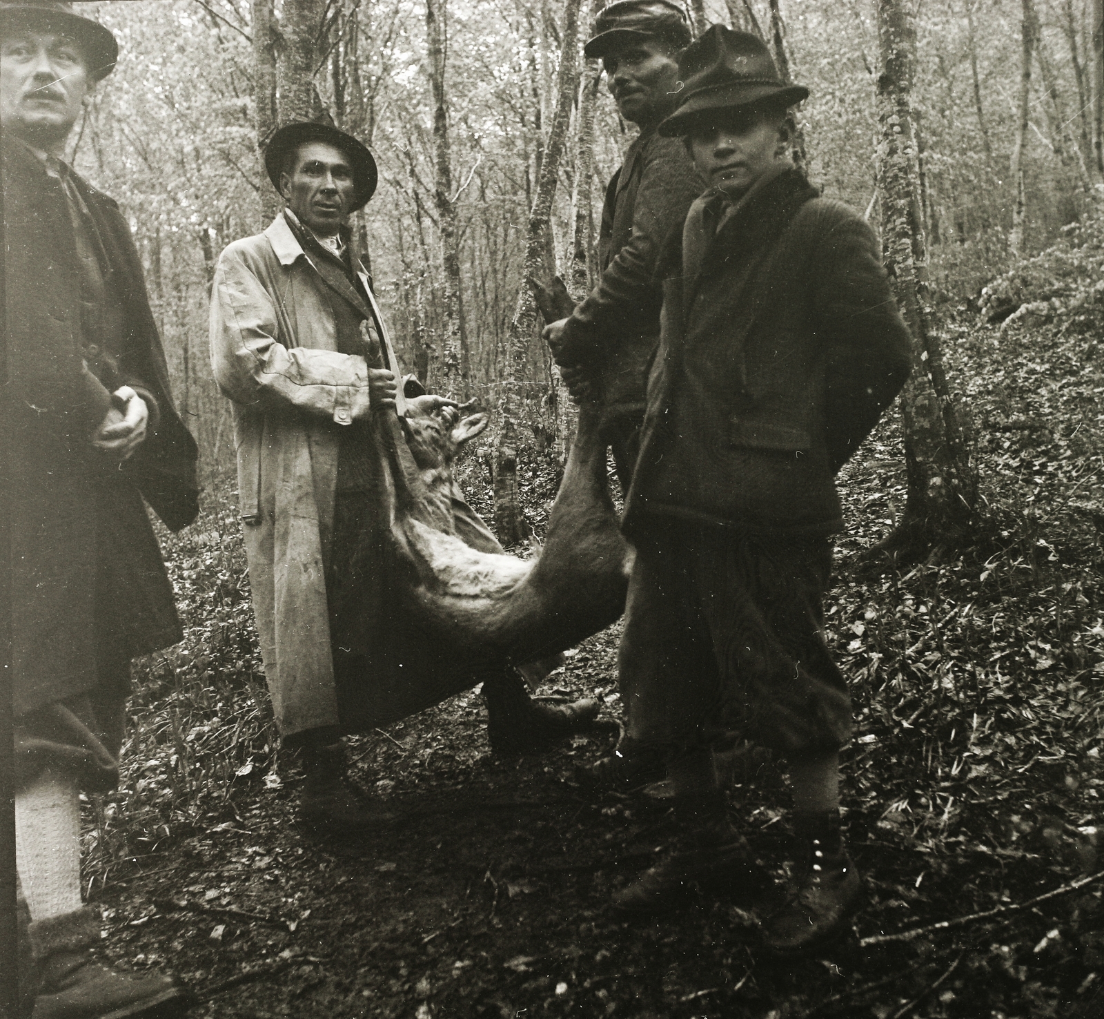 1940, Ebner, hunting, Fortepan #92348