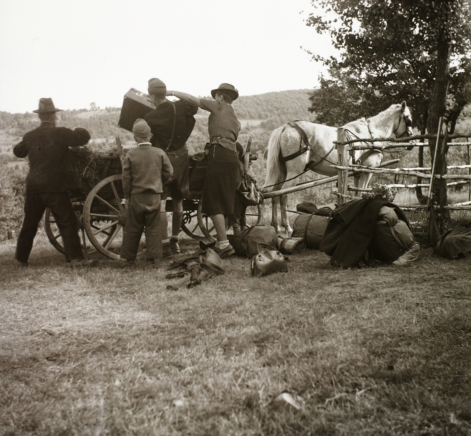 1941, Ebner, horse, chariot, Fortepan #92355