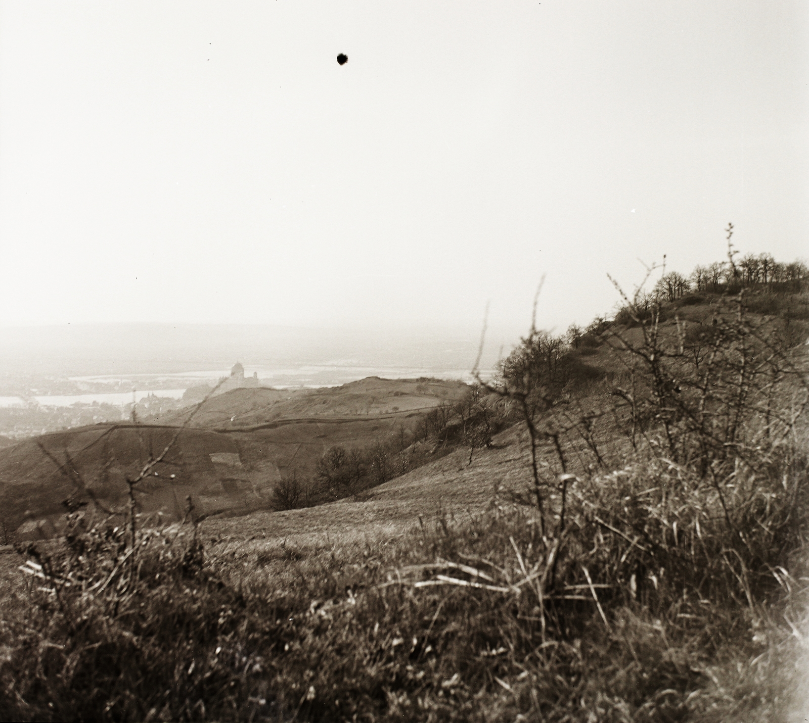 Magyarország, Esztergom, kilátás a város felé a Panoráma útról, középen a Bazilika., 1939, Ebner, kirándulás, kilátás, hegyoldal, Fortepan #92401