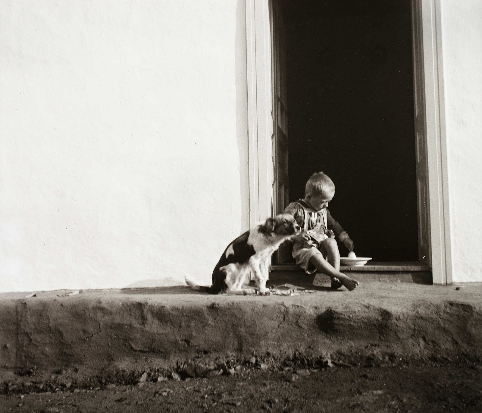 1940, Ebner, dog, boy, Fortepan #92410