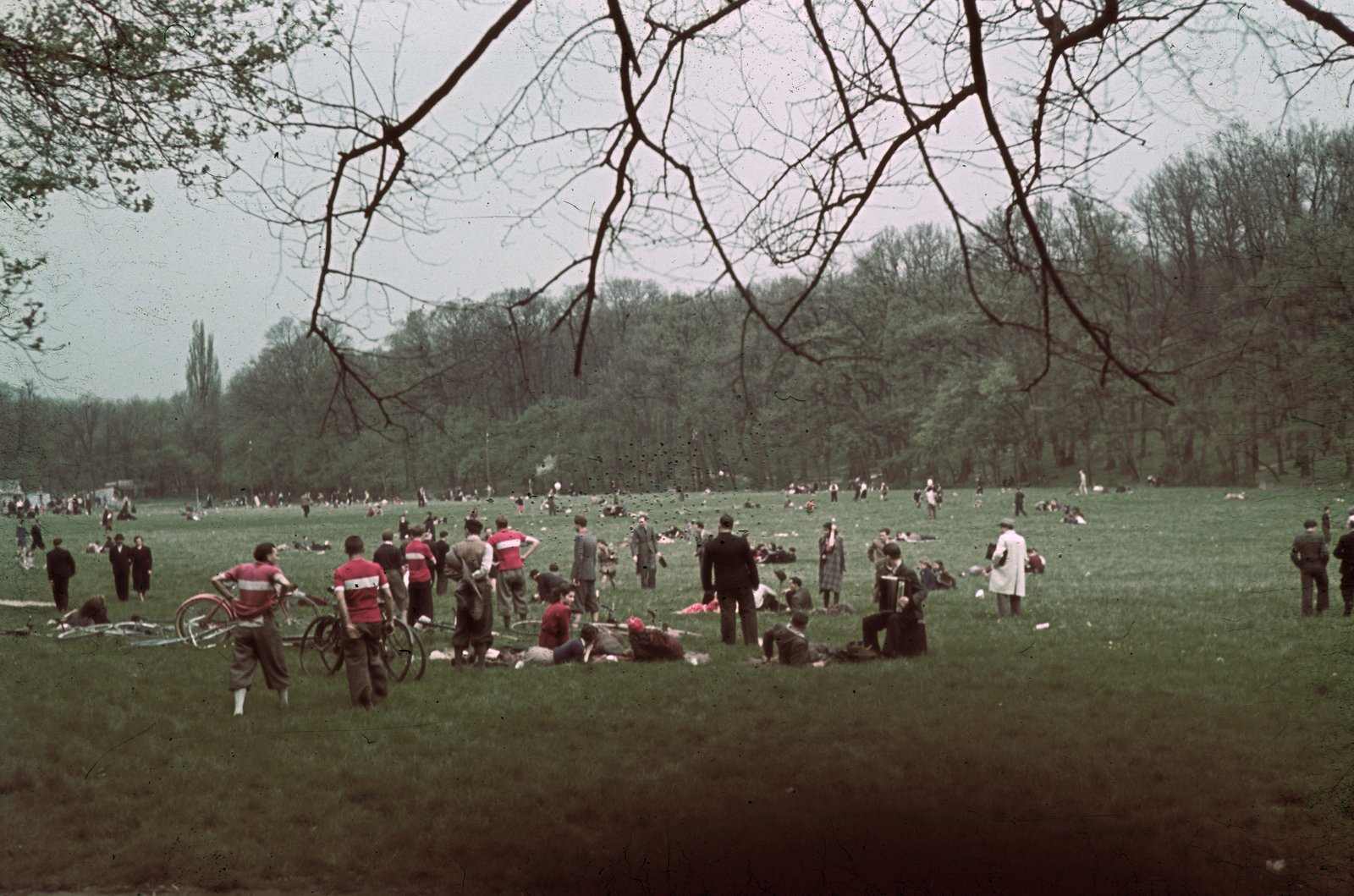 Hungary, Budapest II., Nagyrét., 1941, Fortepan, colorful, Budapest, Fortepan #92530