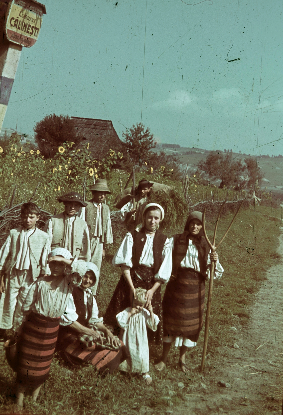 Romania,Transylvania, Călinești, a felvétel a falu határánál készült., 1940, Fortepan, village, colorful, folk costume, sunflower, place-name signs, Fortepan #92564