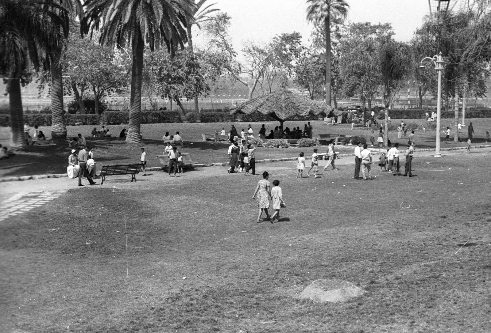 Egyiptom, Kairó, Tahrir tér., 1962, Inkey Tibor, pihenőhely, Fortepan #93185