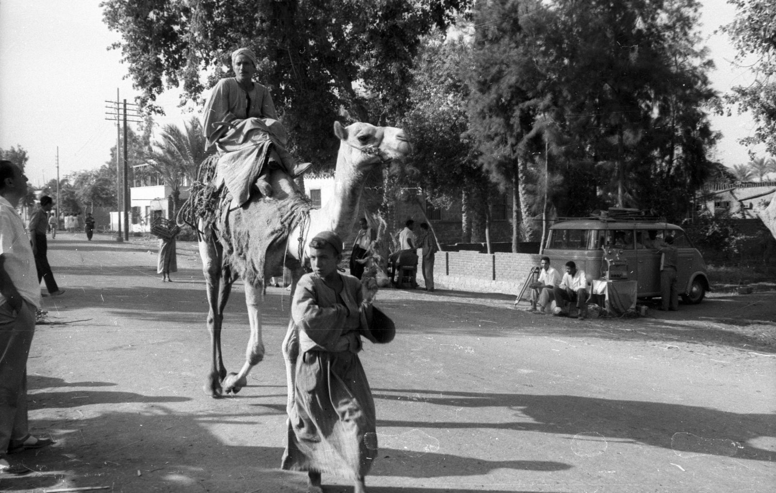 Egypt, 1962, Inkey Tibor, camel, Fortepan #93197