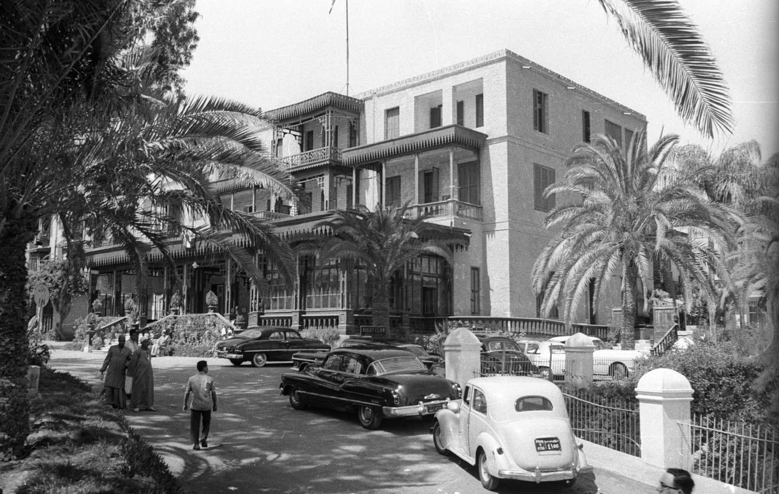 Egypt, 1962, Inkey Tibor, palm tree, automobile, Fortepan #93230